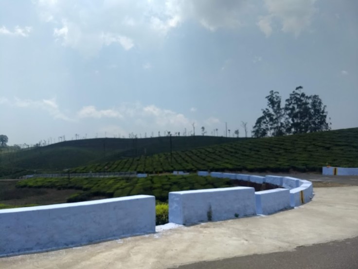 IMG_20190323_131855815