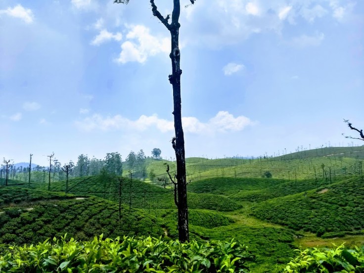 IMG_20190323_132244145_HDR (1)